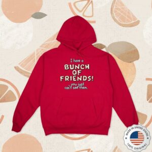 Bunch Of Friends Merch Store I Have A Bunch Of Friends Hoodie