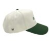 Imax Shop Merch The 2-Tone Retro Hat Green