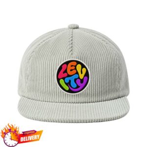 Levity Store Merch Levity Back To School Corduroy Strapback Hat In Wolf Grey