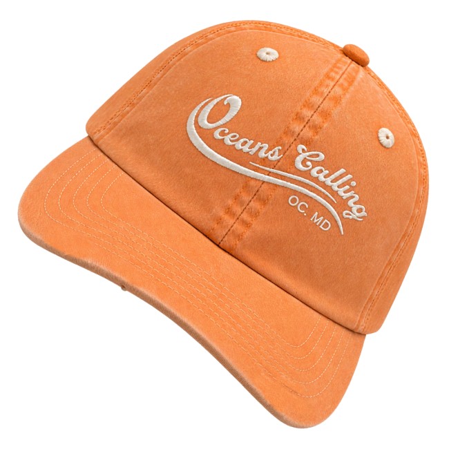 Oceans Calling Festival Store Merch Distressed Dad Hat 3 Oceans Calling Festival Store Merch Distressed Dad Hat