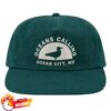 Oceans Calling Festival Store Merch Seagull Flatbill Hat