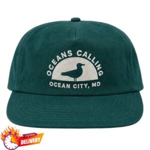 Oceans Calling Festival Store Merch Seagull Flatbill Hat