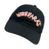 Waterparks Store Merch Arch Logo Dad Hat